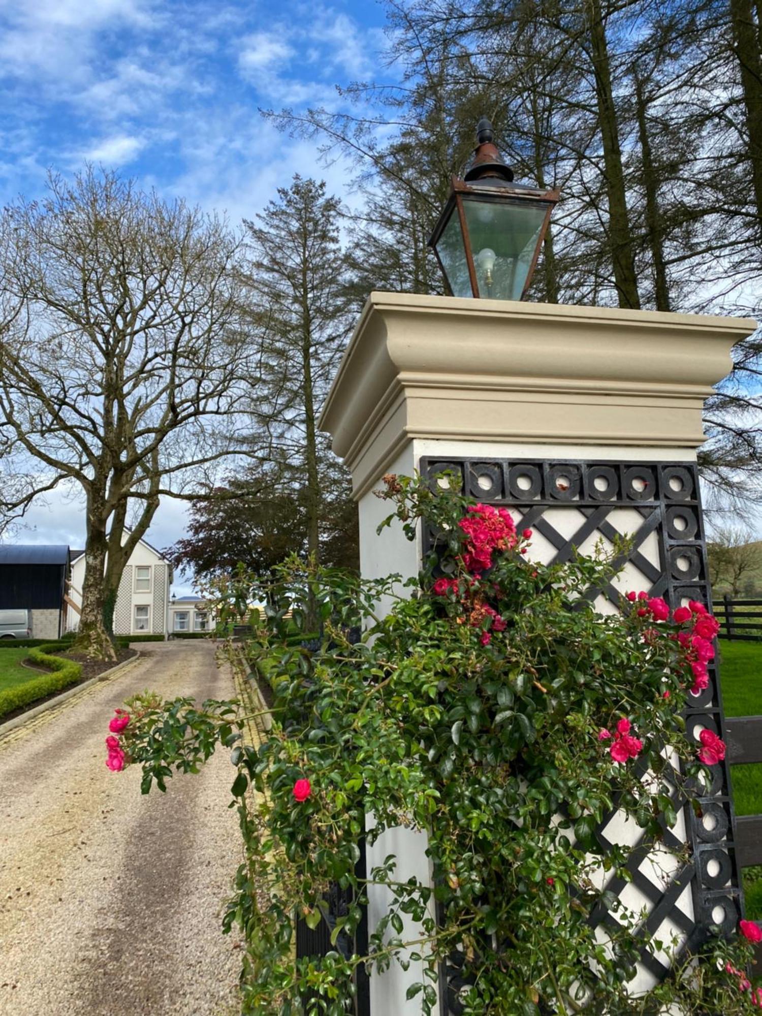 Ballyness Lodge ロンドンデリー エクステリア 写真